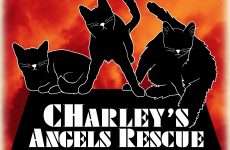 Charley’s Angels